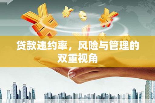 阿瓦提贷款违约率，风险与管理的双重视角