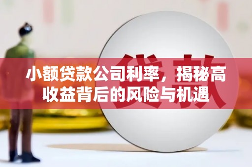 阿瓦提小额贷款公司利率，揭秘高收益背后的风险与机遇