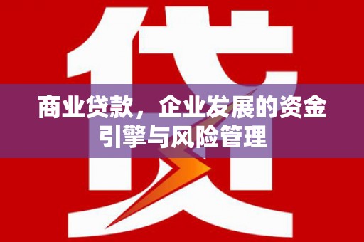 阿瓦提商业贷款，企业发展的资金引擎与风险管理