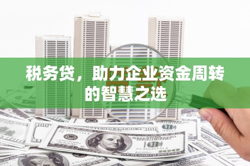 阿瓦提税务贷，助力企业资金周转的智慧之选