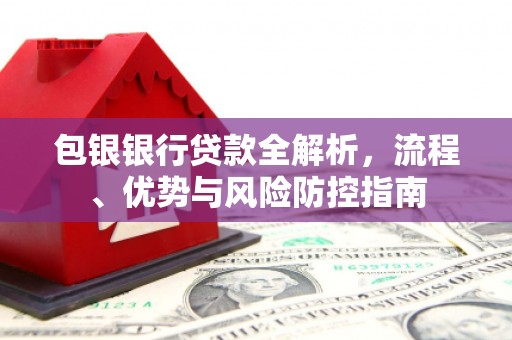 阿瓦提包银银行贷款全解析，流程、优势与风险防控指南