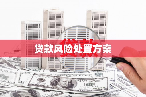 阿瓦提贷款风险处置方案