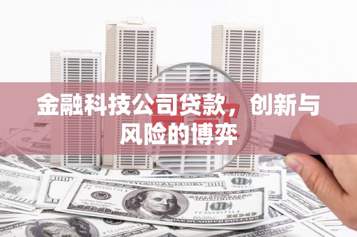 阿瓦提金融科技公司贷款，创新与风险的博弈