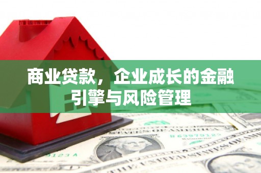 阿瓦提商业贷款，企业成长的金融引擎与风险管理