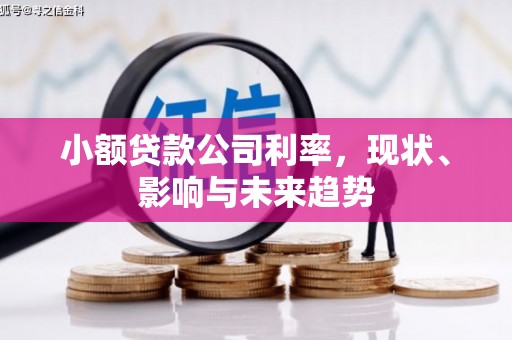 阿瓦提小额贷款公司利率，现状、影响与未来趋势