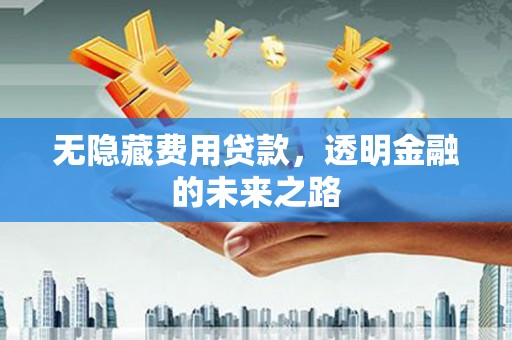 阿瓦提无隐藏费用贷款，透明金融的未来之路