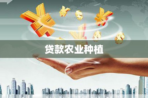 阿瓦提贷款农业种植