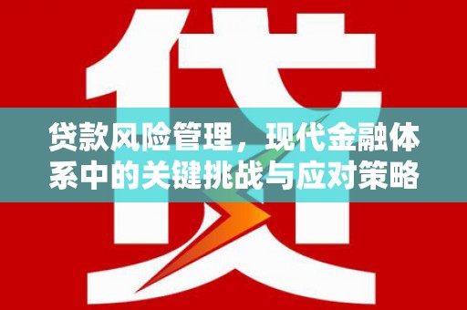 阿瓦提贷款风险管理，现代金融体系中的关键挑战与应对策略