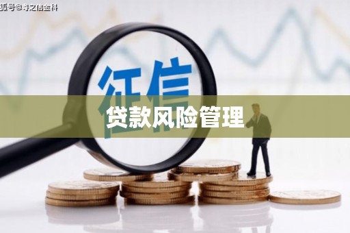 阿瓦提贷款风险管理