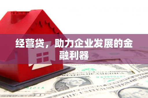 阿瓦提经营贷，助力企业发展的金融利器