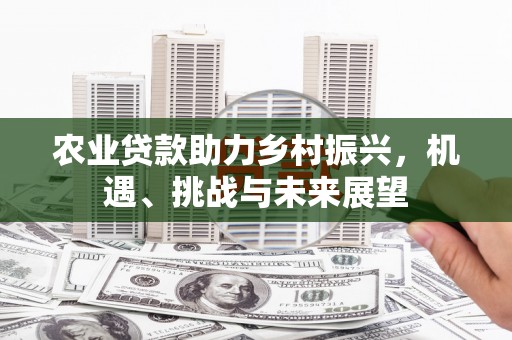 阿瓦提农业贷款助力乡村振兴，机遇、挑战与未来展望