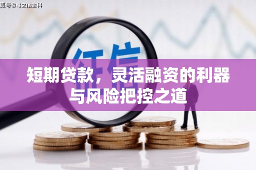 阿瓦提短期贷款，灵活融资的利器与风险把控之道