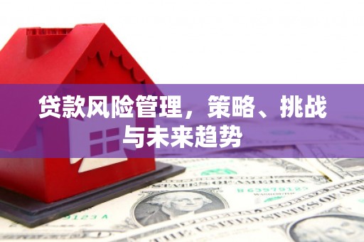 阿瓦提贷款风险管理，策略、挑战与未来趋势