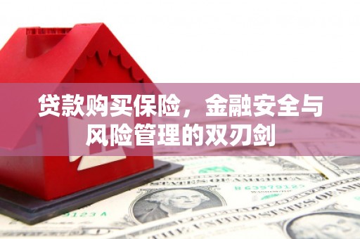 阿瓦提贷款购买保险，金融安全与风险管理的双刃剑