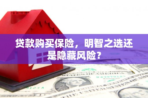 阿瓦提贷款购买保险，明智之选还是隐藏风险？