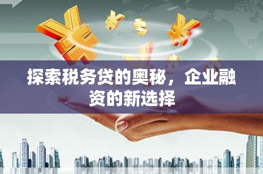 阿瓦提探索税务贷的奥秘，企业融资的新选择