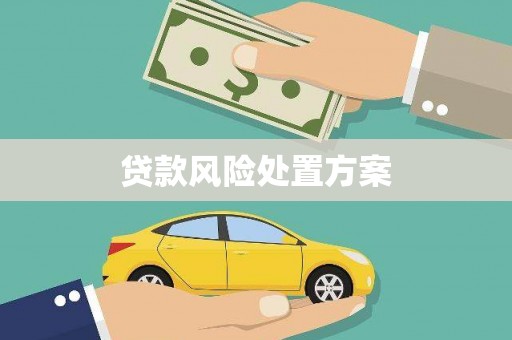 阿瓦提贷款风险处置方案