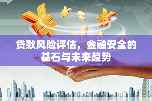 阿瓦提贷款风险评估，金融安全的基石与未来趋势