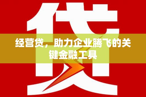 阿瓦提经营贷，助力企业腾飞的关键金融工具