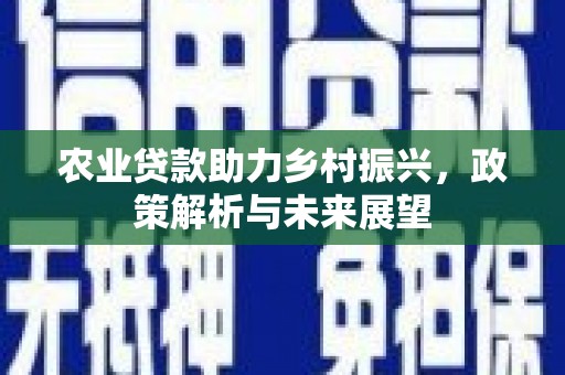 阿瓦提农业贷款助力乡村振兴，政策解析与未来展望