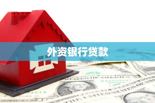阿瓦提外资银行贷款
