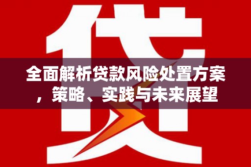 阿瓦提全面解析贷款风险处置方案，策略、实践与未来展望