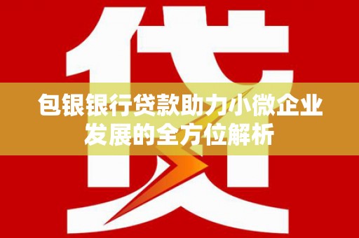 阿瓦提包银银行贷款助力小微企业发展的全方位解析