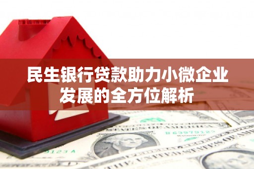 阿瓦提民生银行贷款助力小微企业发展的全方位解析