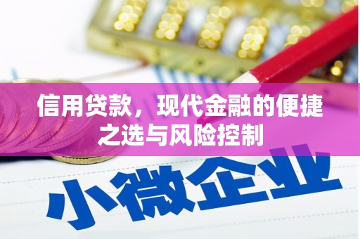 阿瓦提信用贷款，现代金融的便捷之选与风险控制