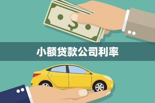阿瓦提小额贷款公司利率