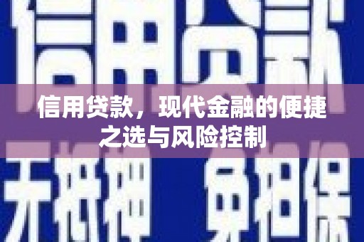 阿瓦提信用贷款，现代金融的便捷之选与风险控制