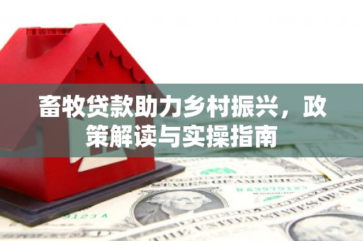 阿瓦提畜牧贷款助力乡村振兴，政策解读与实操指南