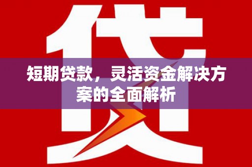 阿瓦提短期贷款，灵活资金解决方案的全面解析