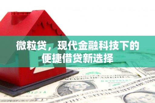 阿瓦提微粒贷，现代金融科技下的便捷借贷新选择