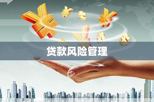 阿瓦提贷款风险管理