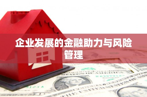 阿瓦提企业发展的金融助力与风险管理