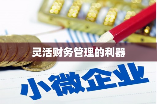 阿瓦提灵活财务管理的利器