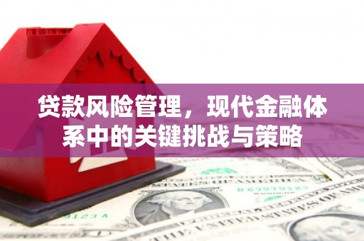 阿瓦提贷款风险管理，现代金融体系中的关键挑战与策略