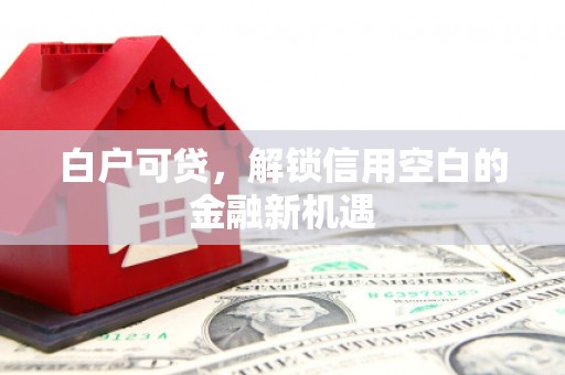 阿瓦提白户可贷，解锁信用空白的金融新机遇