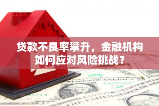 阿瓦提贷款不良率攀升，金融机构如何应对风险挑战？