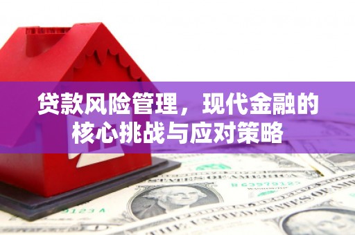 阿瓦提贷款风险管理，现代金融的核心挑战与应对策略