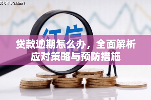 阿瓦提贷款逾期怎么办，全面解析应对策略与预防措施