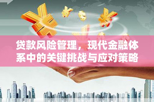 阿瓦提贷款风险管理，现代金融体系中的关键挑战与应对策略