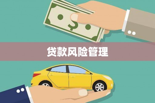 阿瓦提贷款风险管理