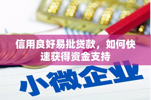 阿瓦提信用良好易批贷款，如何快速获得资金支持