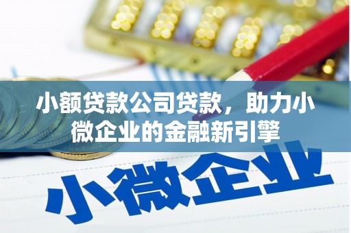 阿瓦提小额贷款公司贷款，助力小微企业的金融新引擎