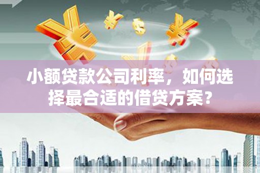 阿瓦提小额贷款公司利率，如何选择最合适的借贷方案？