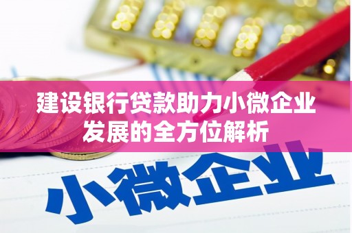 阿瓦提建设银行贷款助力小微企业发展的全方位解析