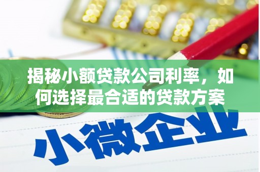 阿瓦提揭秘小额贷款公司利率，如何选择最合适的贷款方案