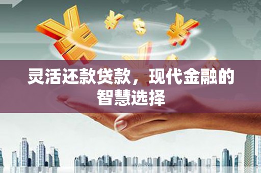 阿瓦提灵活还款贷款，现代金融的智慧选择